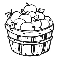 Basket of apples coloring pages