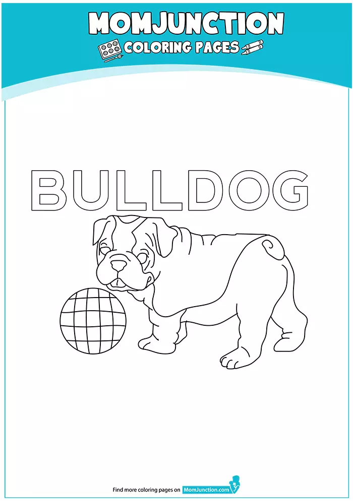 The-Bulldog-coloring-page-16