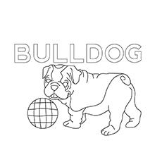 720 Top Hunting Dogs Coloring Pages  Images