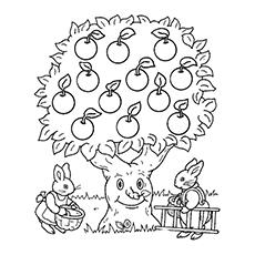 top 30 apple coloring pages for your little ones