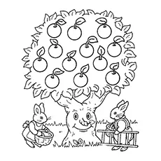 Bunnies picking apples coloring pages