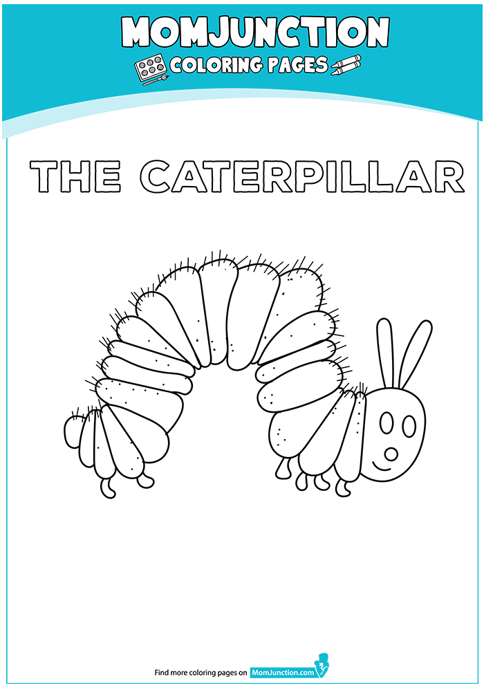 The-Caterpillar-16