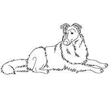 Top 25 Free Printable Dog Coloring Pages Online