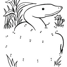 Connect the dot of a snake coloring page