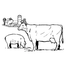 Free Colouring Page Cow With Pig