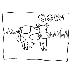 Cow With Spelling Coloring Pages