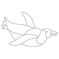 Cute penguin swimming coloring pages_image