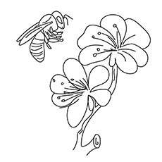 Bee and flowers, spring coloring page
