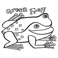 The Green Frog, Eric Carle coloring page