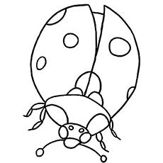 Eric Carle Coloring Pages Free Printables Momjunction