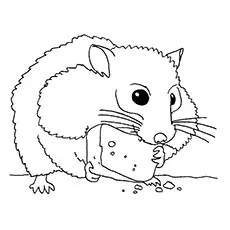 The hamster eating coloring pages