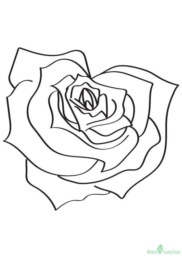 The-Heart-Shaped-Rose-16