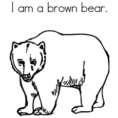 The I am a Brown bear coloring pages_image