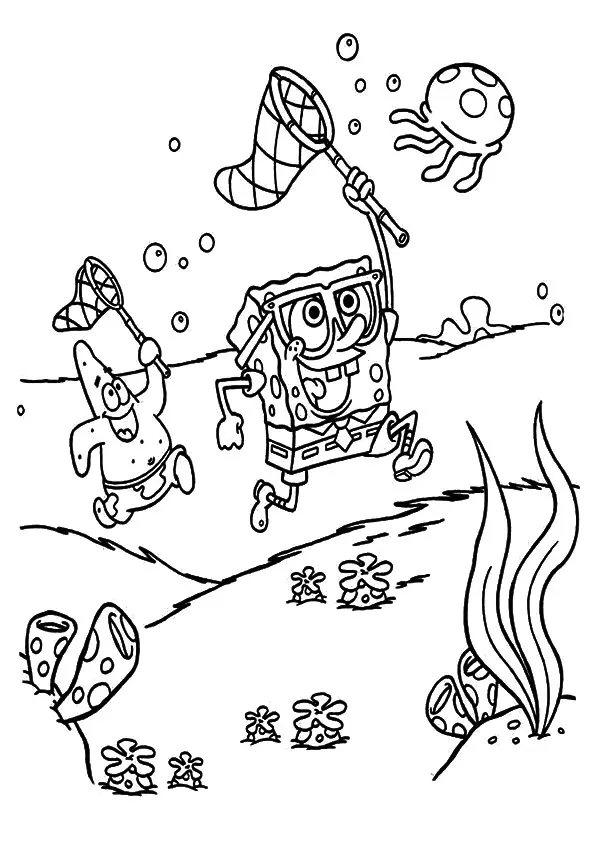 The-Jelly-Fish-Hunting