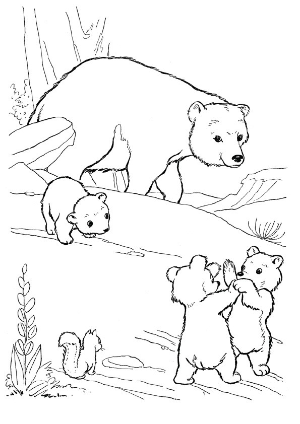 The-Mother-Bear-With-Her-Cubs