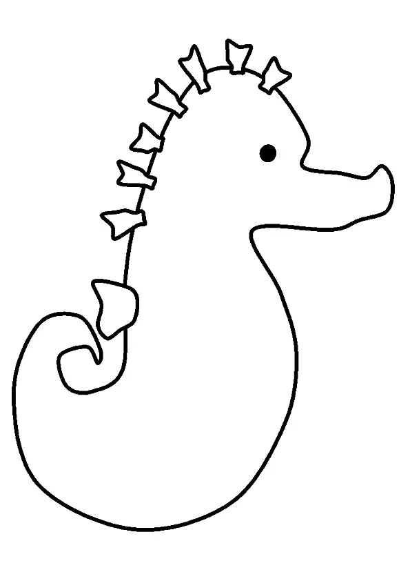 The-Mr.-Seahorse