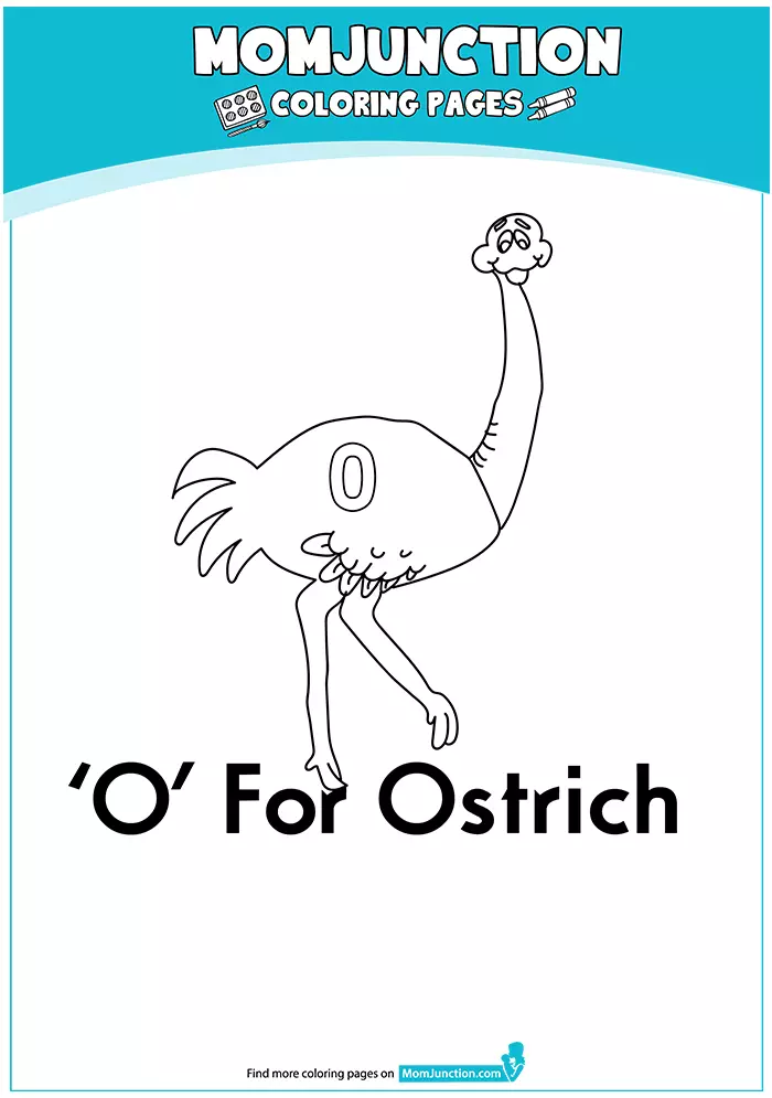 The-O-For-Ostrich-16