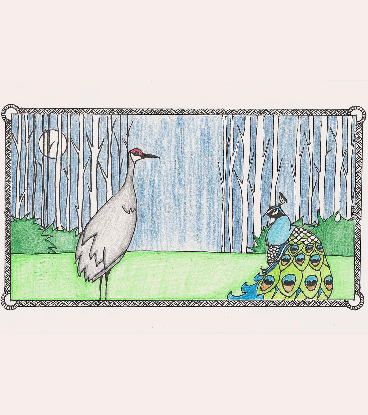 'The Peacock And The Crane Story' For Your Kids