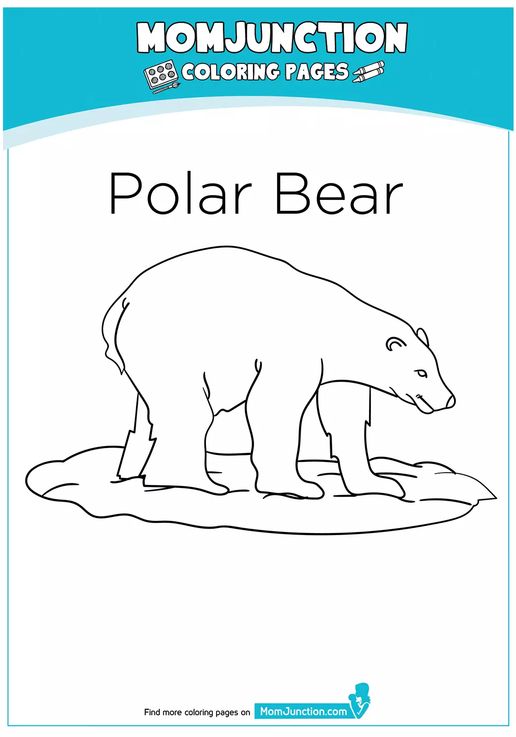 The-Polar-Bear-17