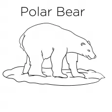 Puffy polar bear coloring page