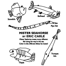 The-Sea-Horse-And-Fishes