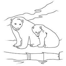 The-Standing-Bears