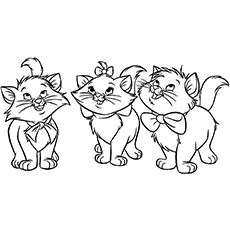 The-Three-orphan-kittens