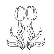 The-Tulip-16