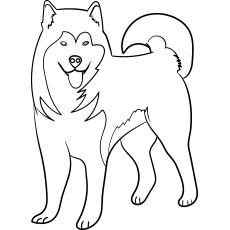 Featured image of post Funny Dog Coloring Pages : We have a great selection of dog coloring pages.