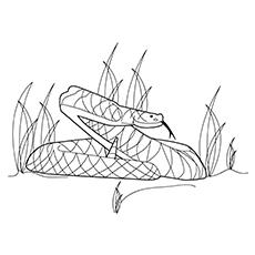 American copperhead snake coloring page