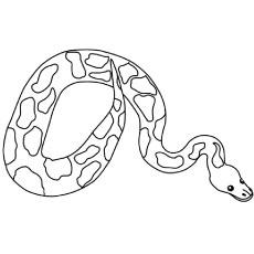 cute snake coloring page