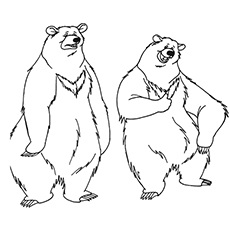 The-bears-playing