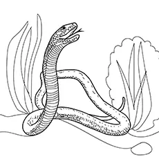 Black mamba snake coloring page