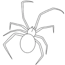 Black widow spider coloring page