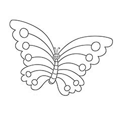 free insect coloring pages