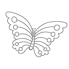 Butterfly bug coloring page