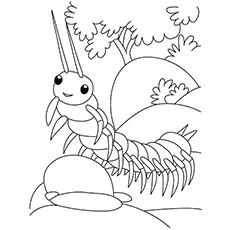Centipede bug coloring page