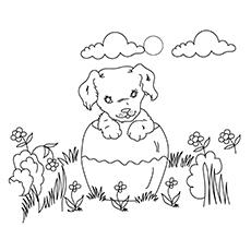 720 Top Hunting Dogs Coloring Pages  Images