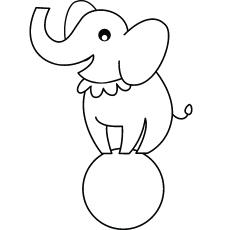 440 Top Coloring Pages For Preschoolers For Free