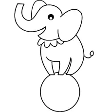 Circus elephant on ball coloring page for preschool