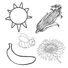 Preschool color recognition coloring page