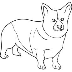 Featured image of post Fluffy Dog Coloring Pages - Use of our dog coloring pages