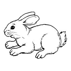 74 Coloring Pages Printable Bunny  Free