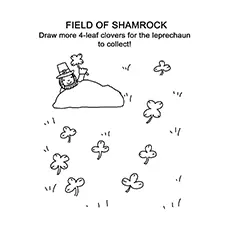 The-field-of-shamrock