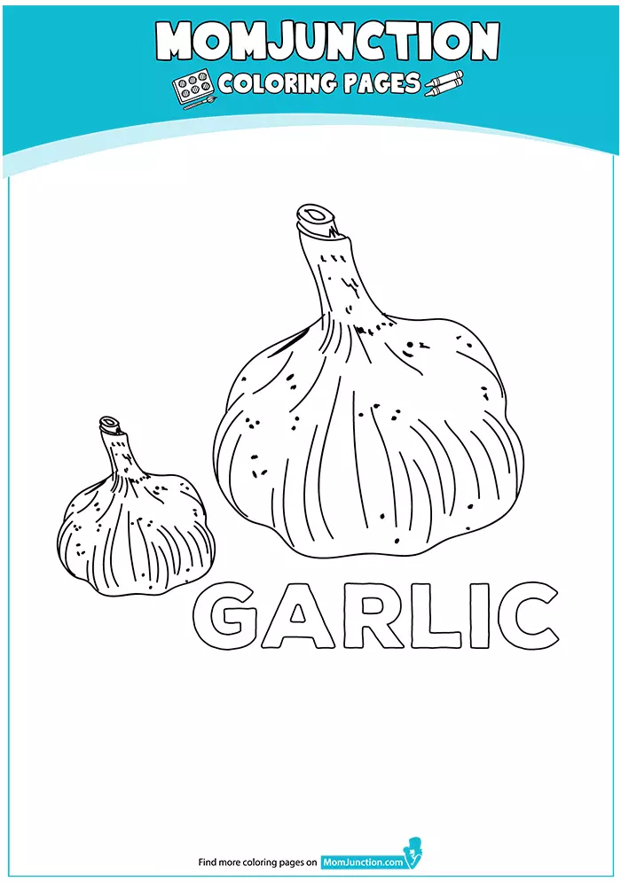 The-g-for-garlic-16