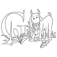Letter g for goat coloring page