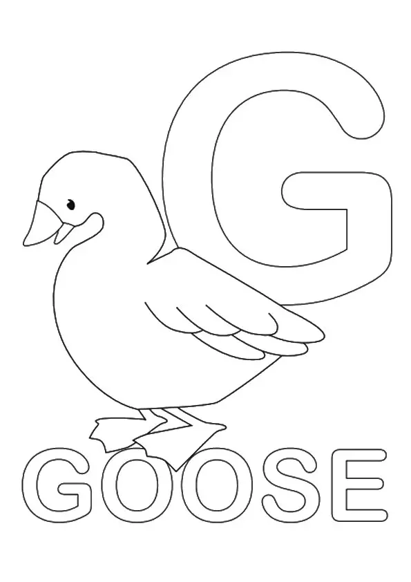 The-g-for-goose