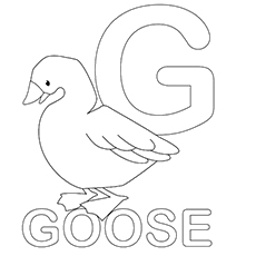 Letter g for goose coloring page