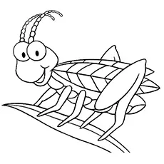 Grasshopper bug coloring page