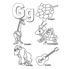 Letter group of g things coloring page